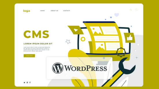 WordPress Einstieg